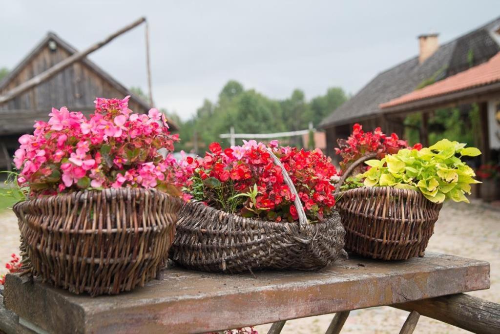 Sienkiewicze Gosciniec Folwark Nadawki Bed & Breakfast エクステリア 写真